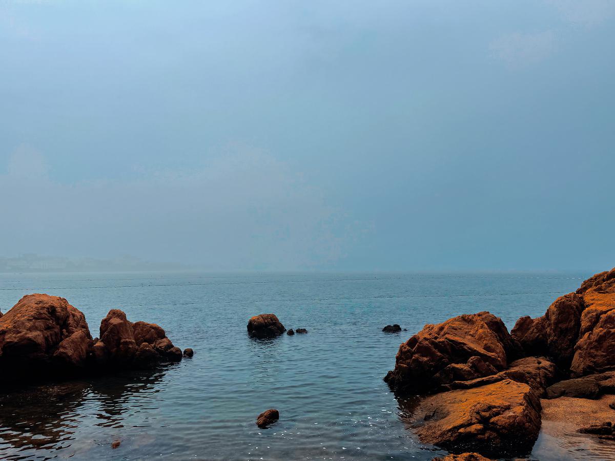黄海